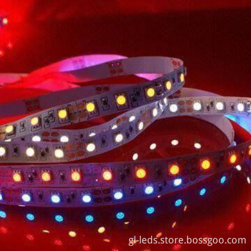SMD 5050 Flexible LED Strip with 12 or 24V DC Working Voltage and 60mA/LED Maximum Current